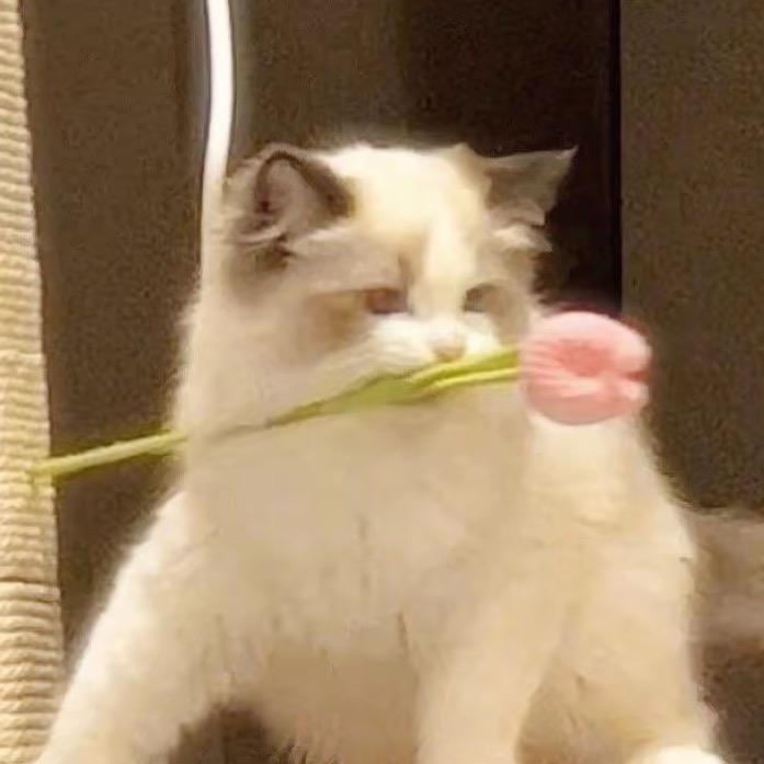 一颗尊