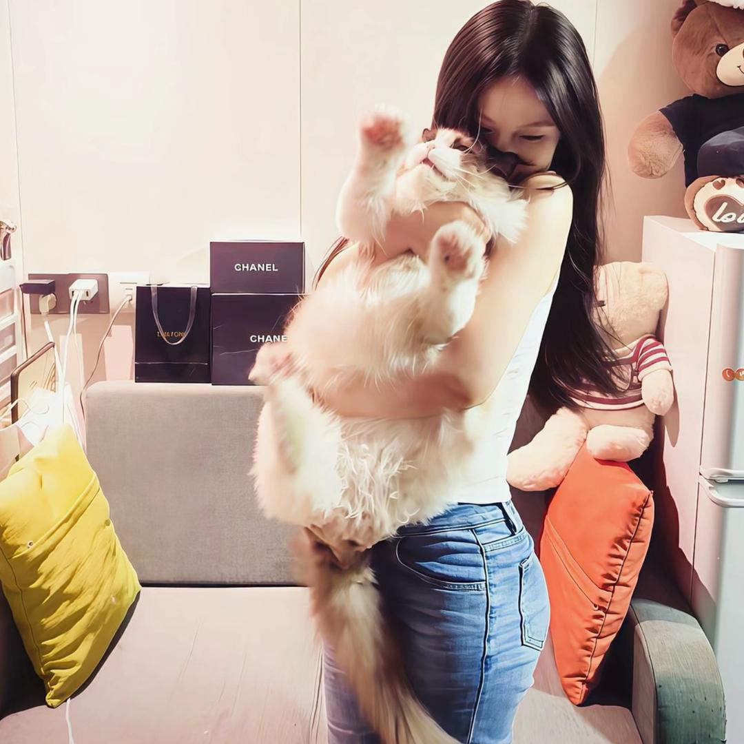 想你当年荷风微摆的衣角