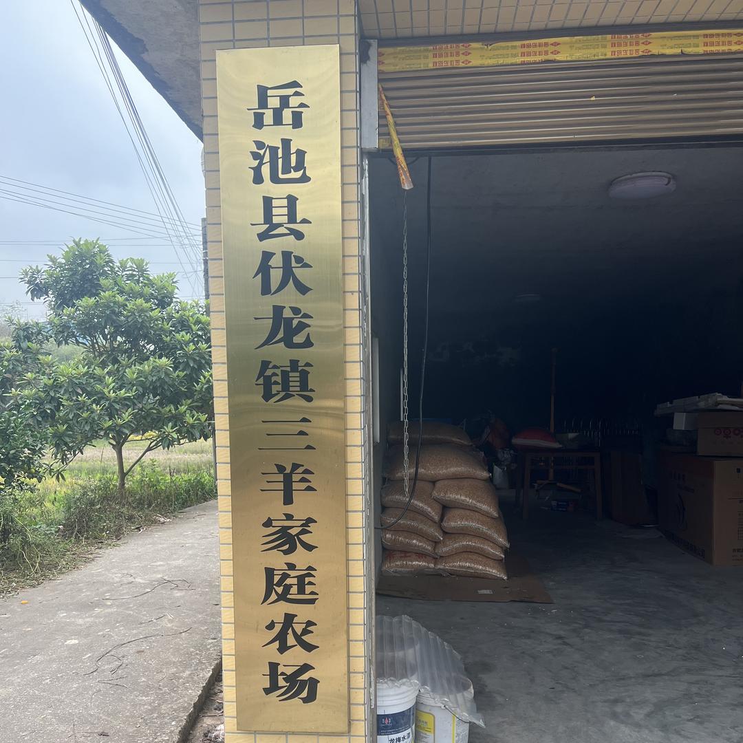 三羊土猪腊肉