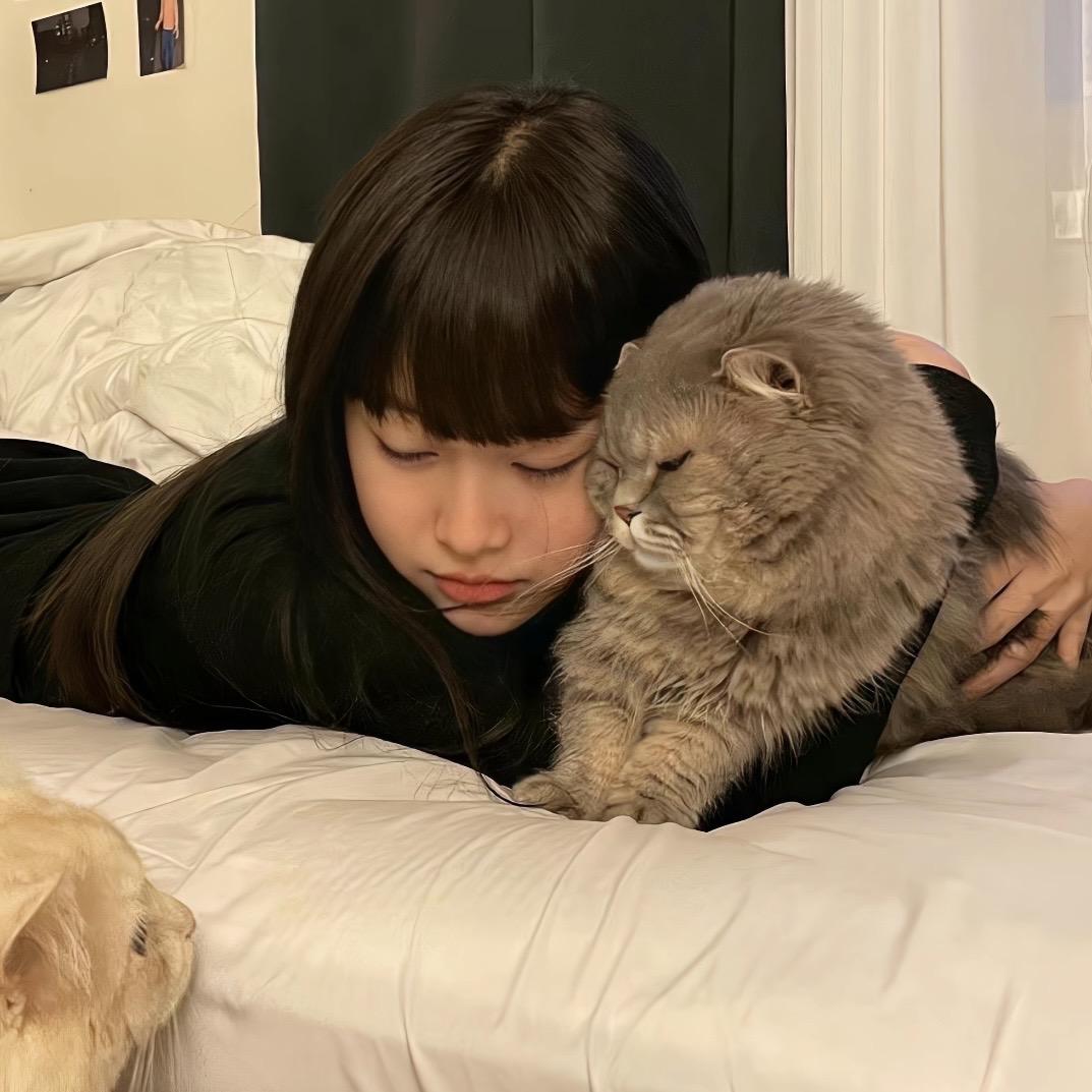 阿玺鱼鱼
