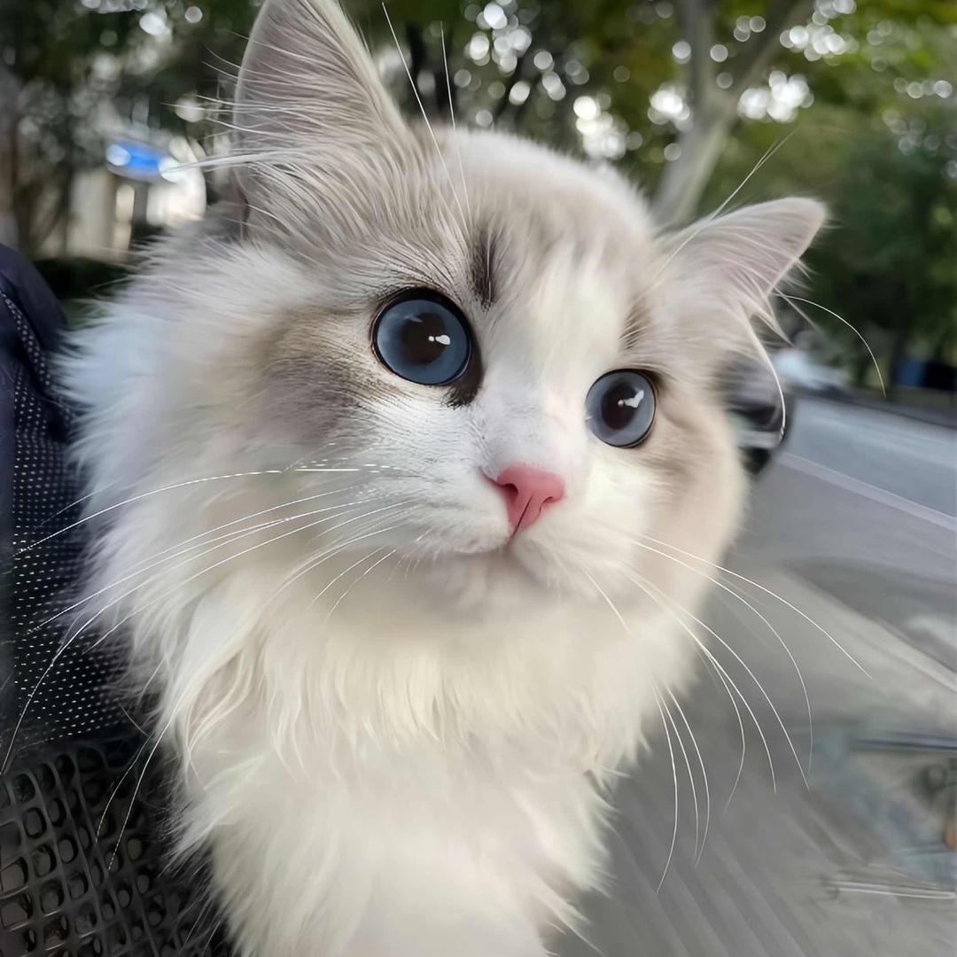 网恋被骗两万。