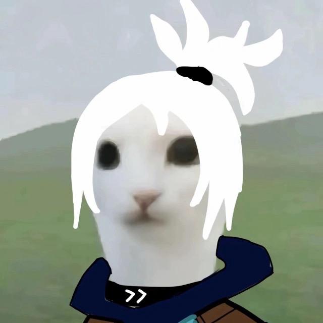 魏什么
