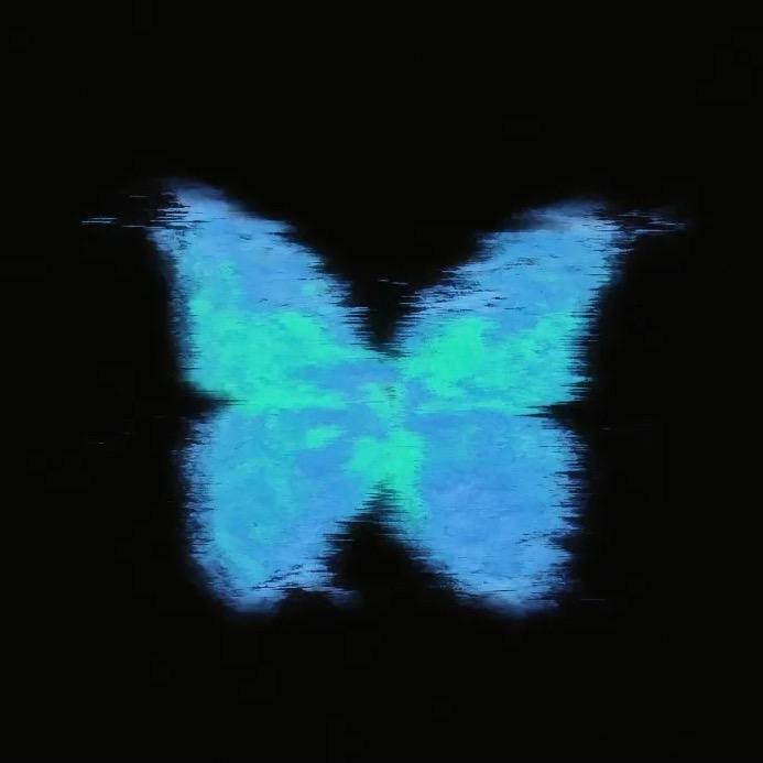 🦋-