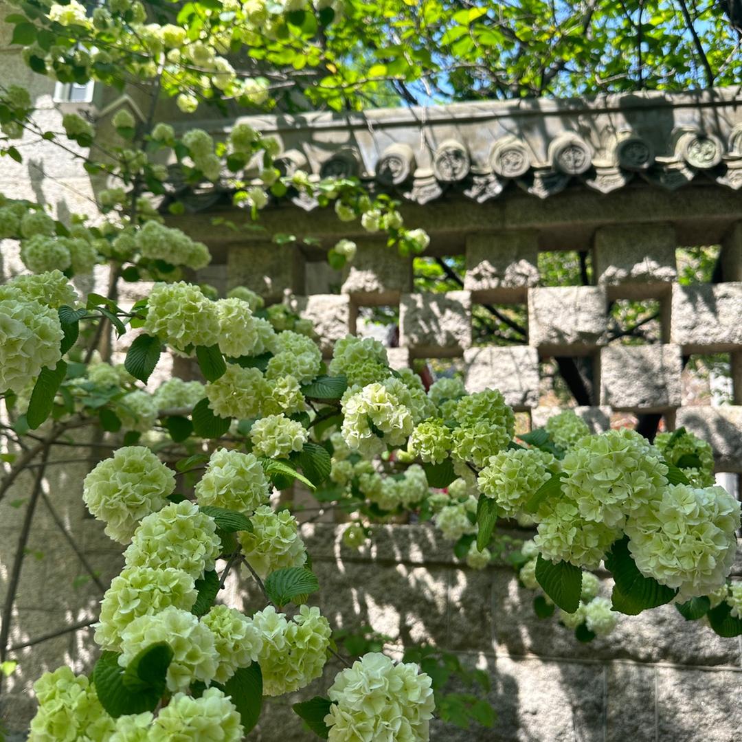 李李🍐