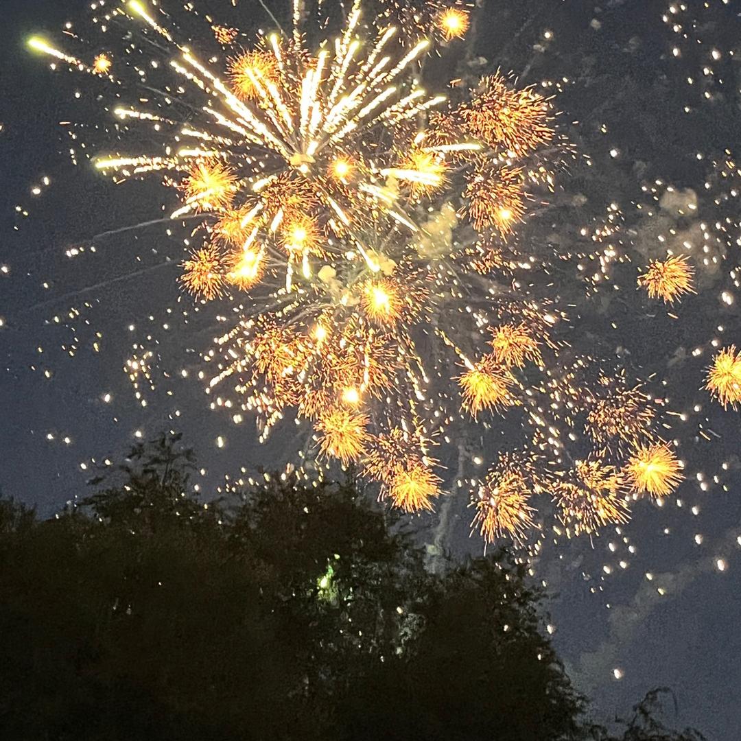 AAA水泥猪肉批发（可零售）