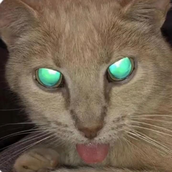 KarMa
