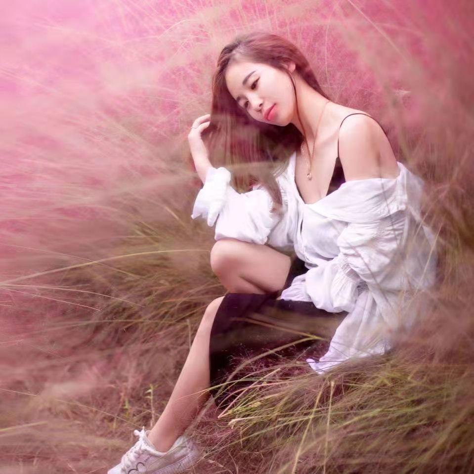 小燕燕燕