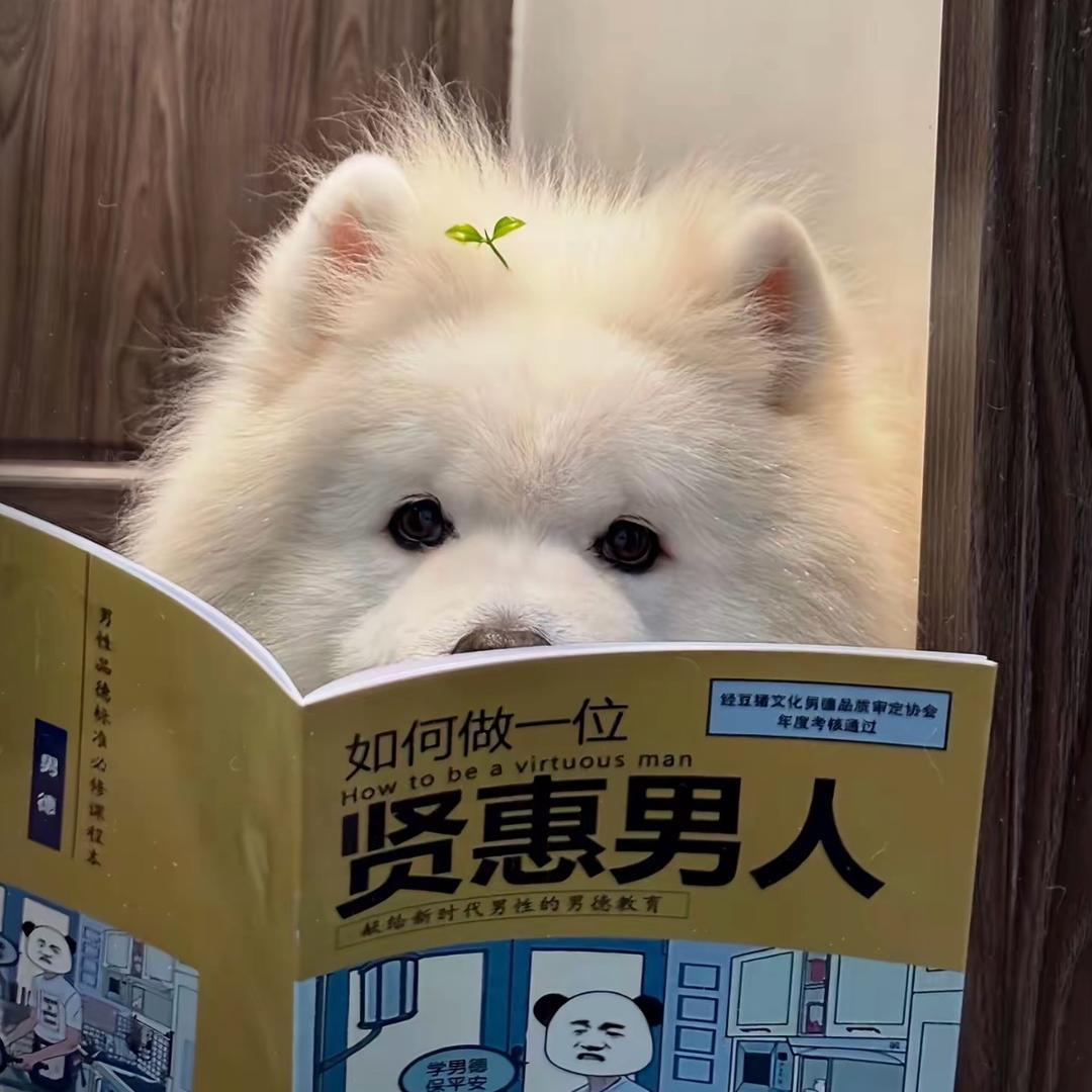 光转圈没有风。