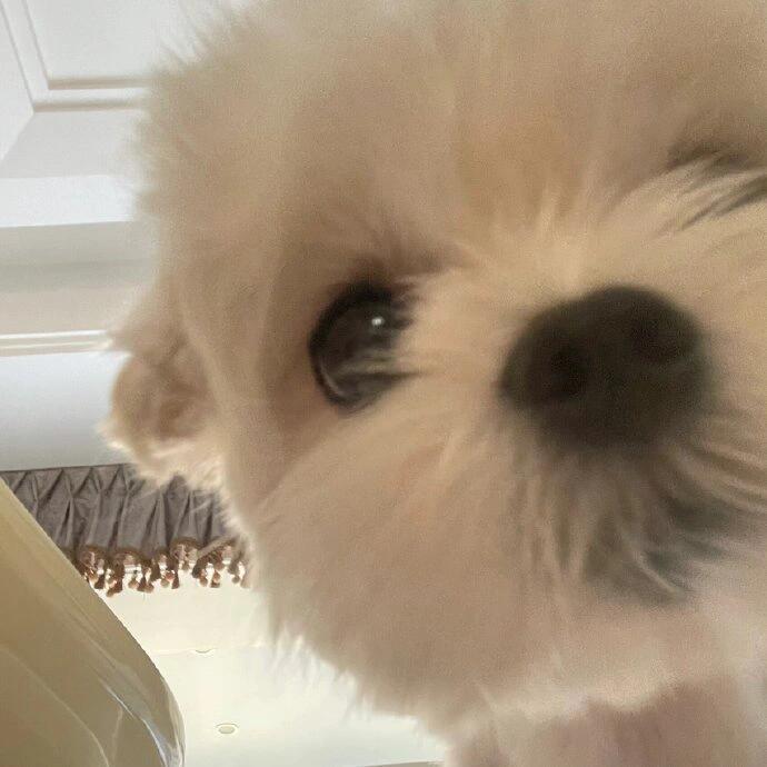 爱瑞day