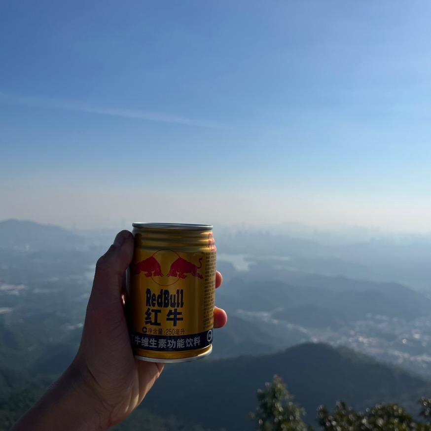 澳大利亚专线-小牛勇闯