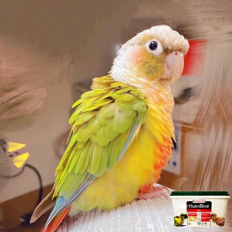 亳州市鑫航养殖有限公司