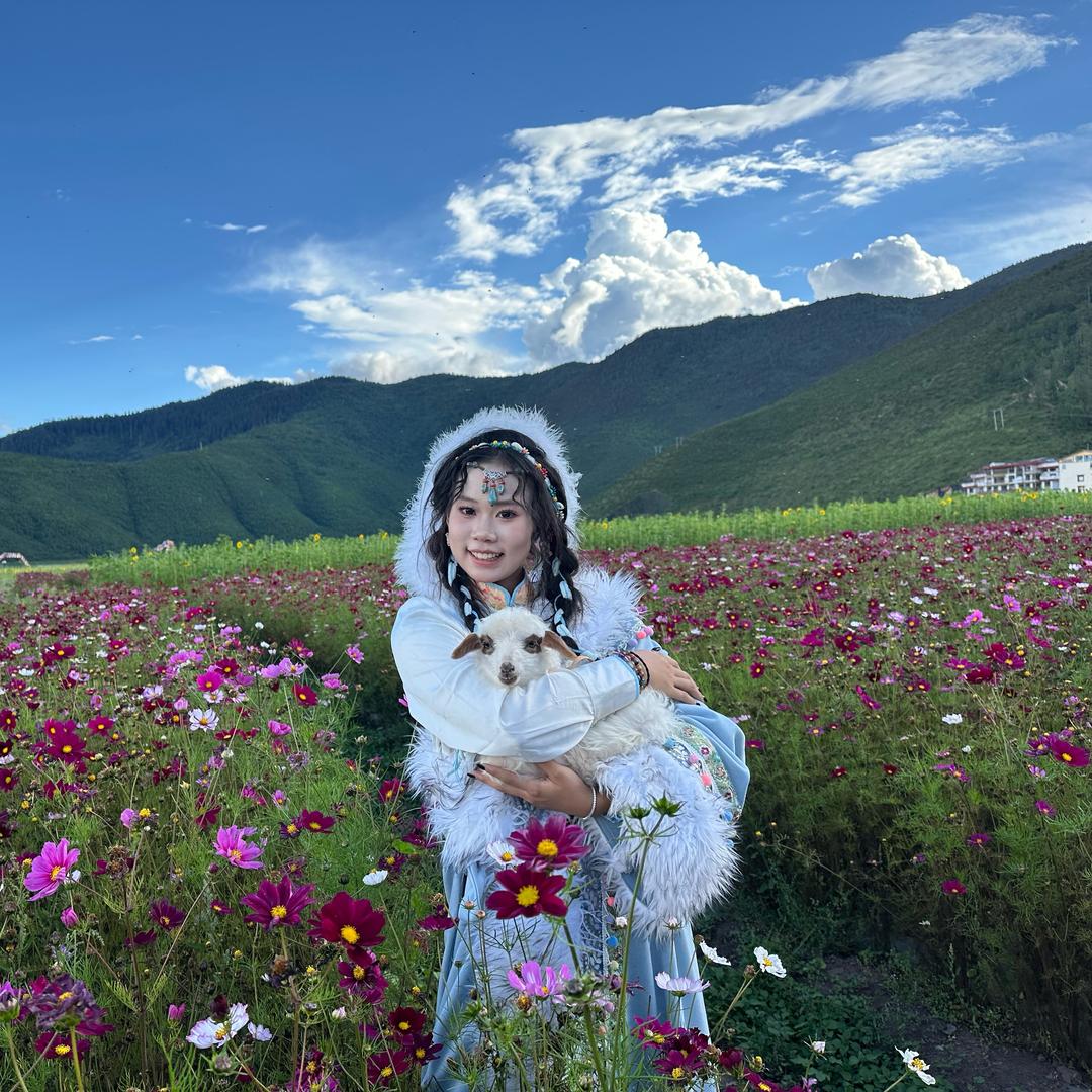 十六喵喵