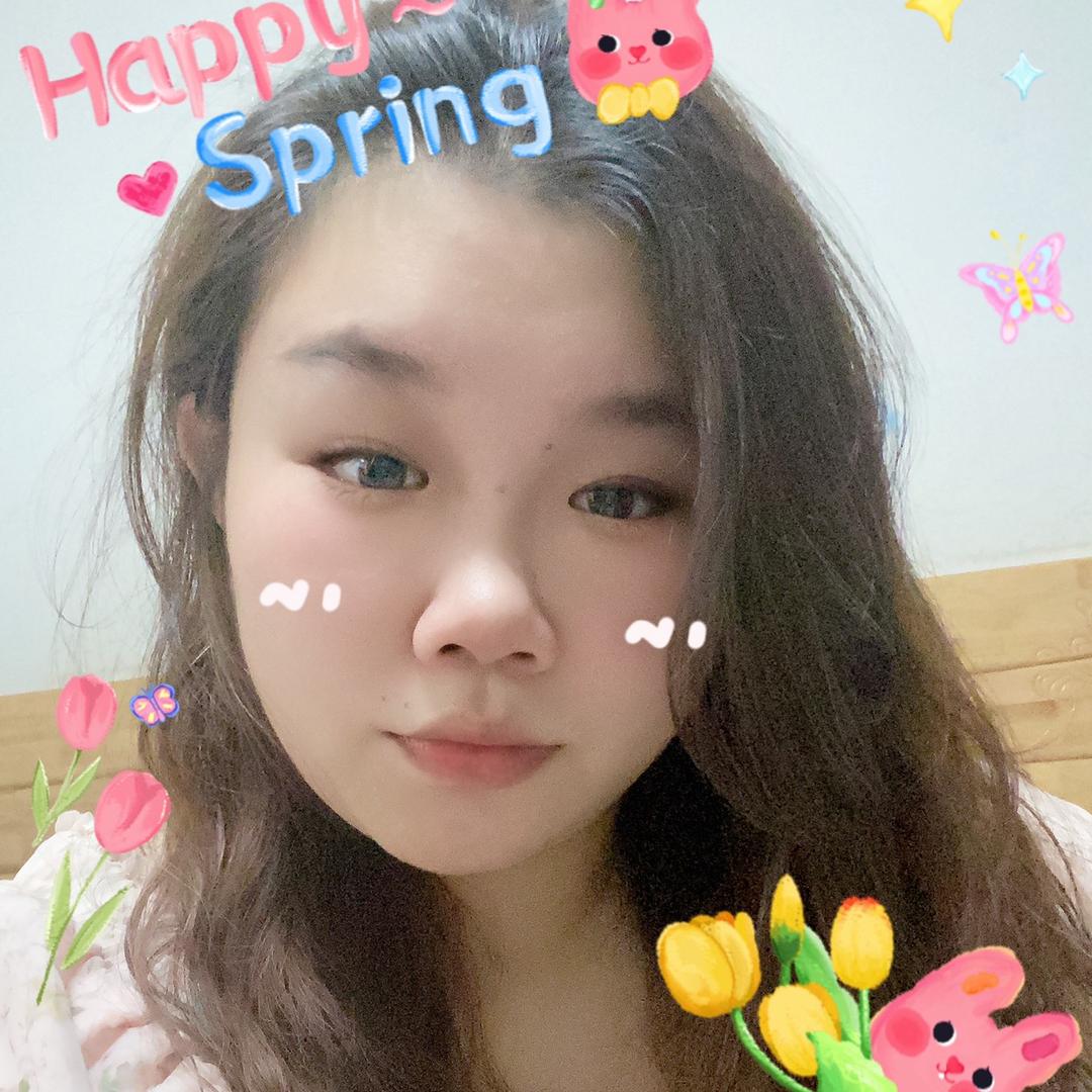 🌈佩奇积木拼搭（可代拼）