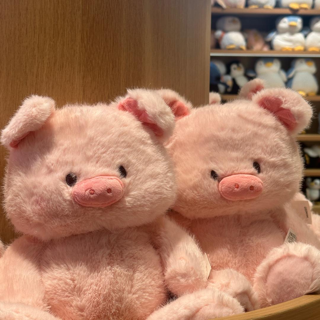 百思不得琦姐🎈