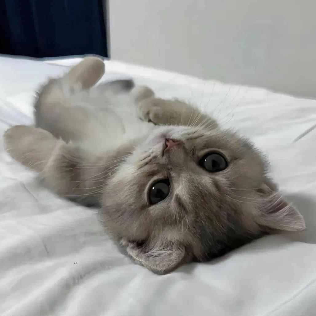 Kiki