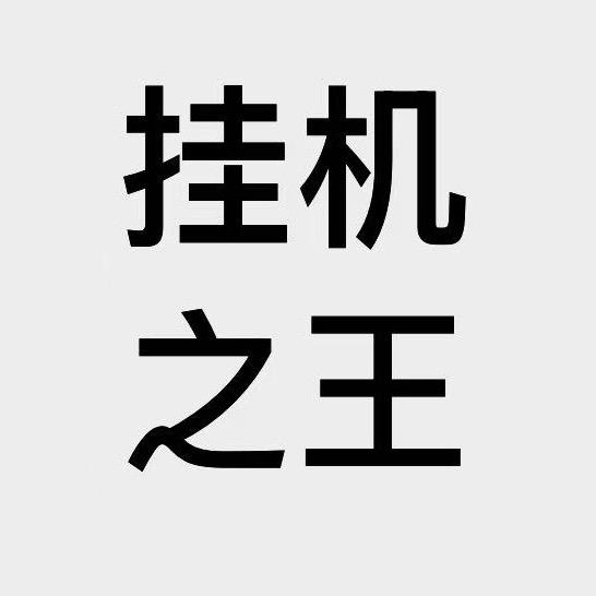挂机之王Hhds7646