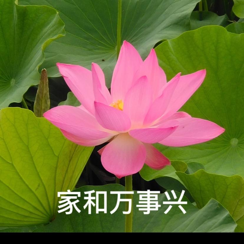 李康才