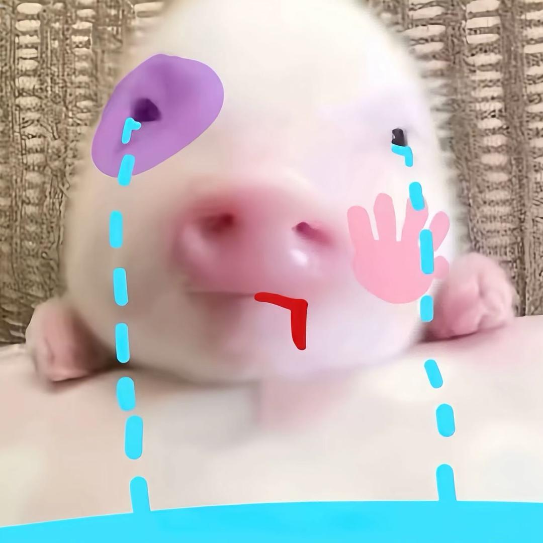 琦琦🍟