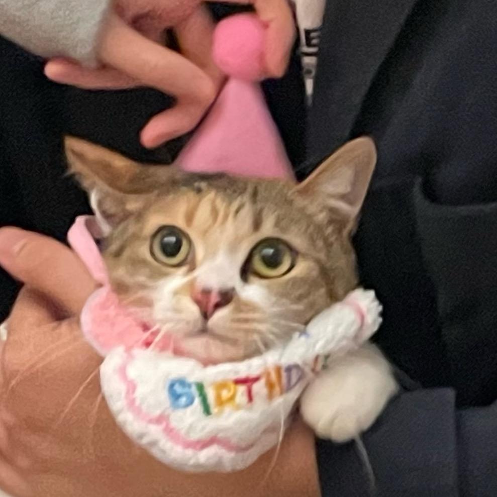 锅巴的料理日常