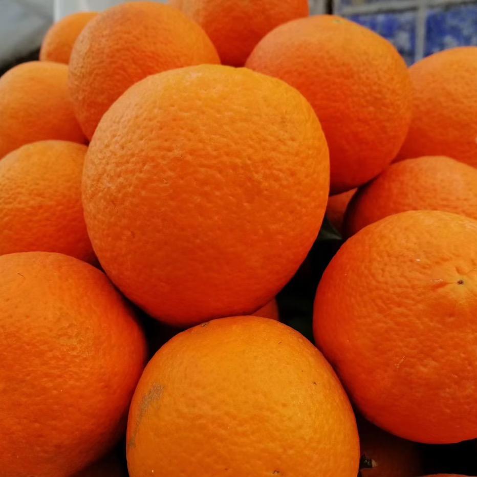 甜橙芳芳姐🍊