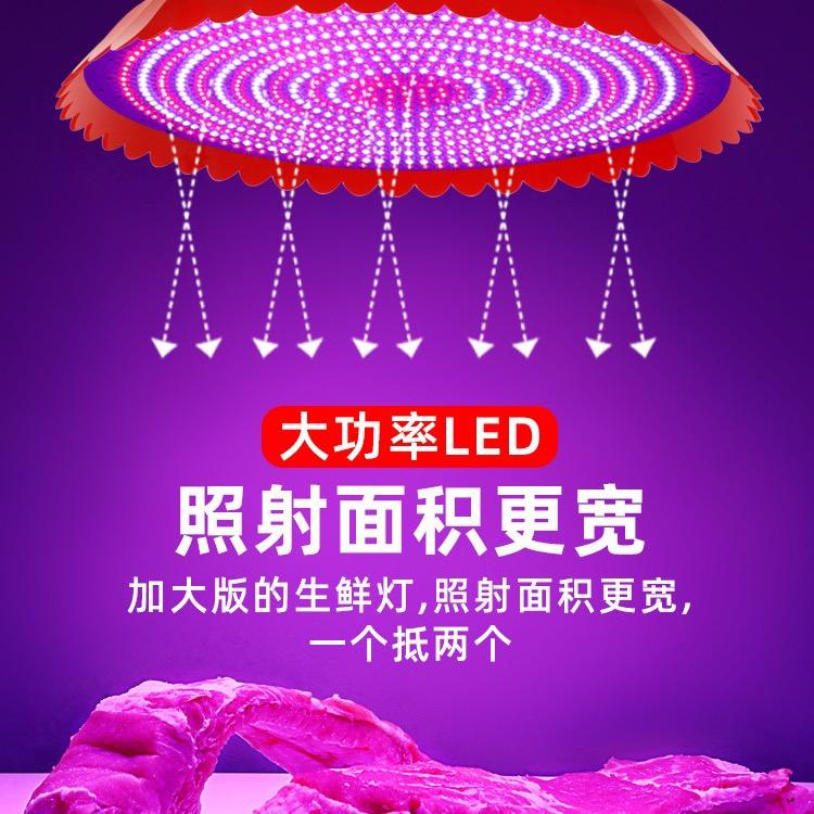 生鲜灯