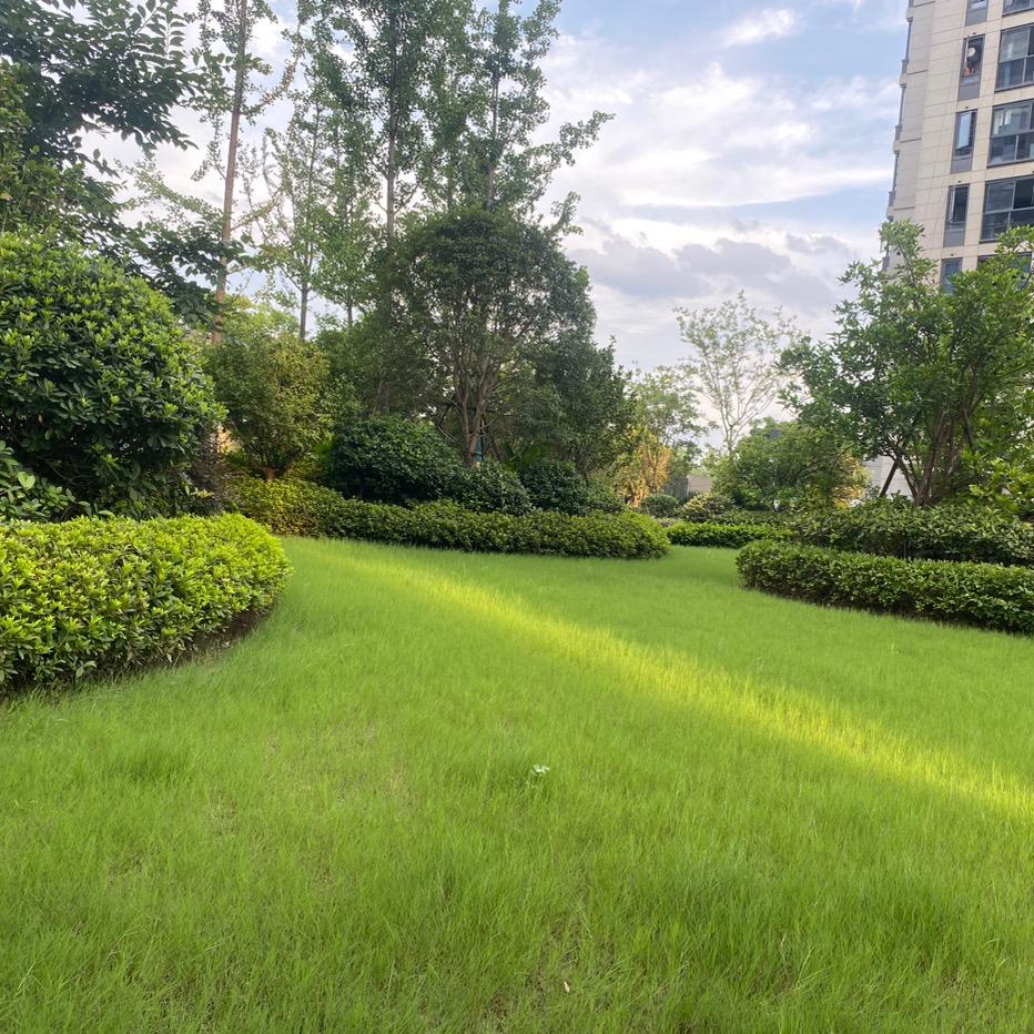 惠姐安家(拒绝套路)