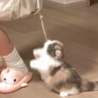 是姚不是瑶