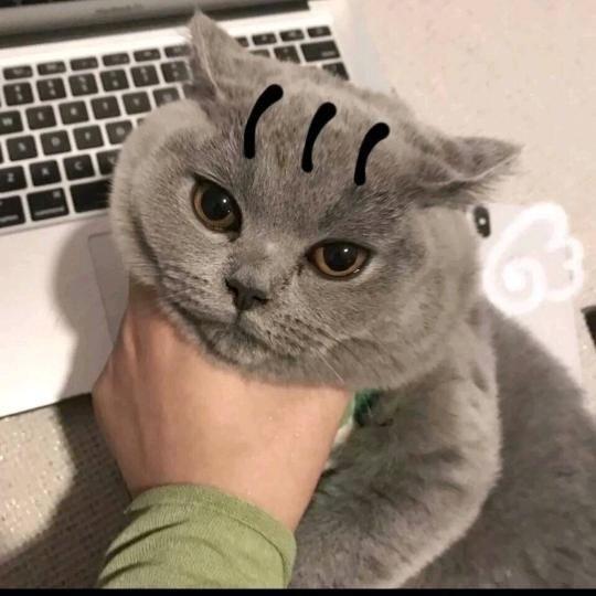 小劉日记