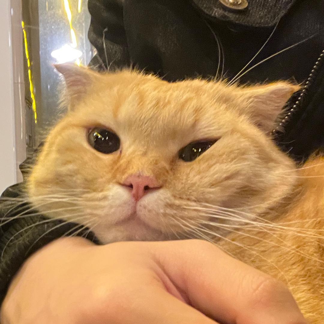 她说她慢热