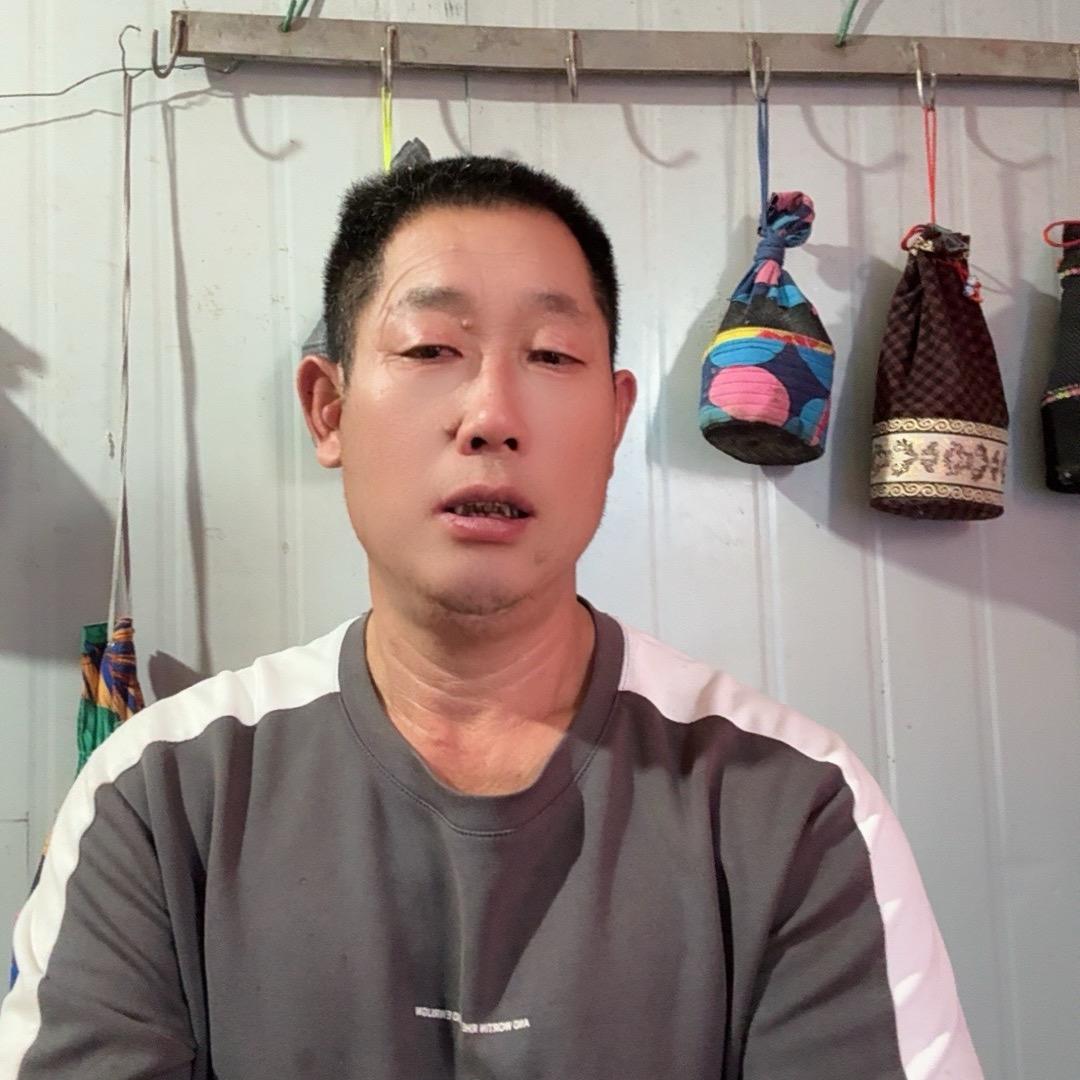 老高专业孵化鹌鹑