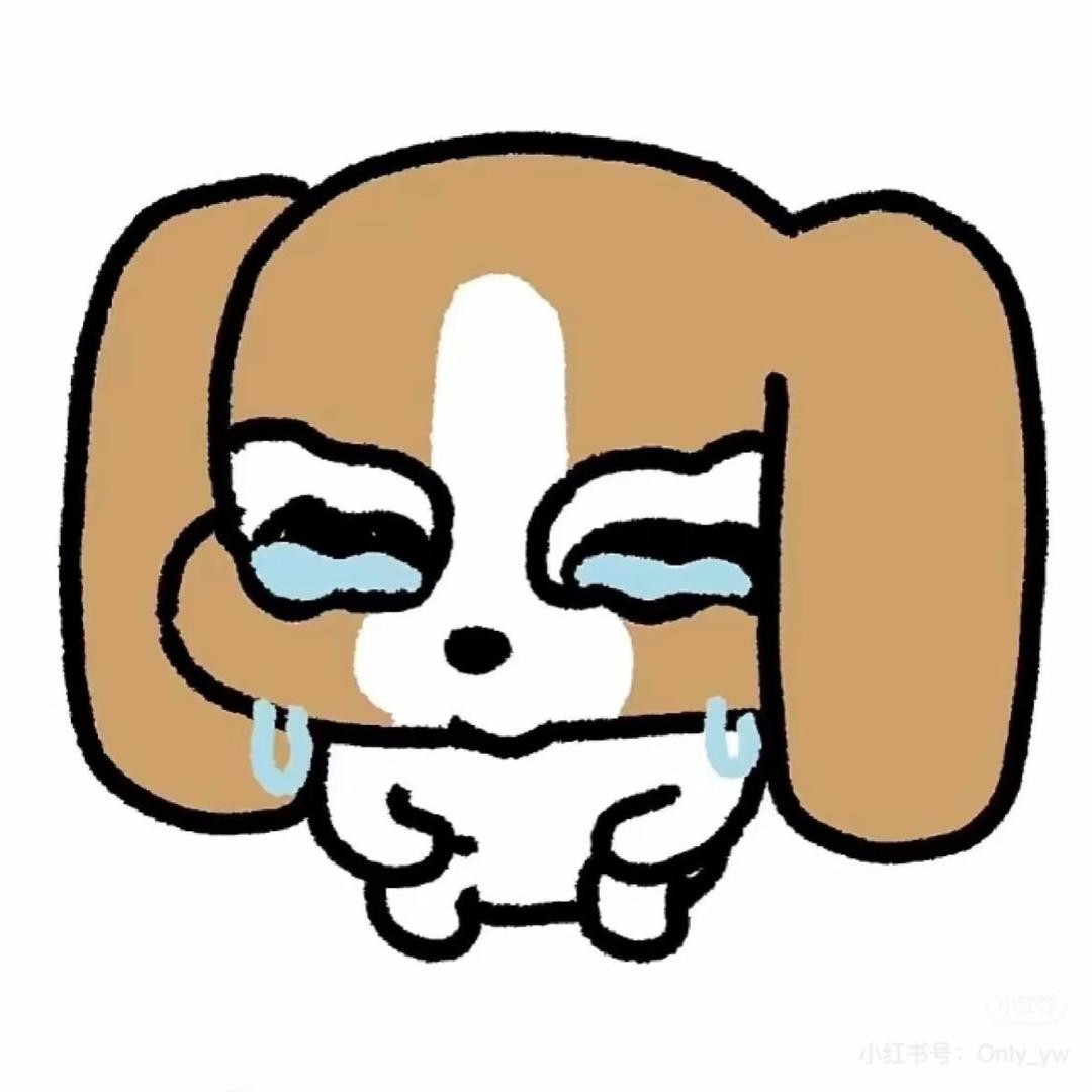 我的王冠丢了