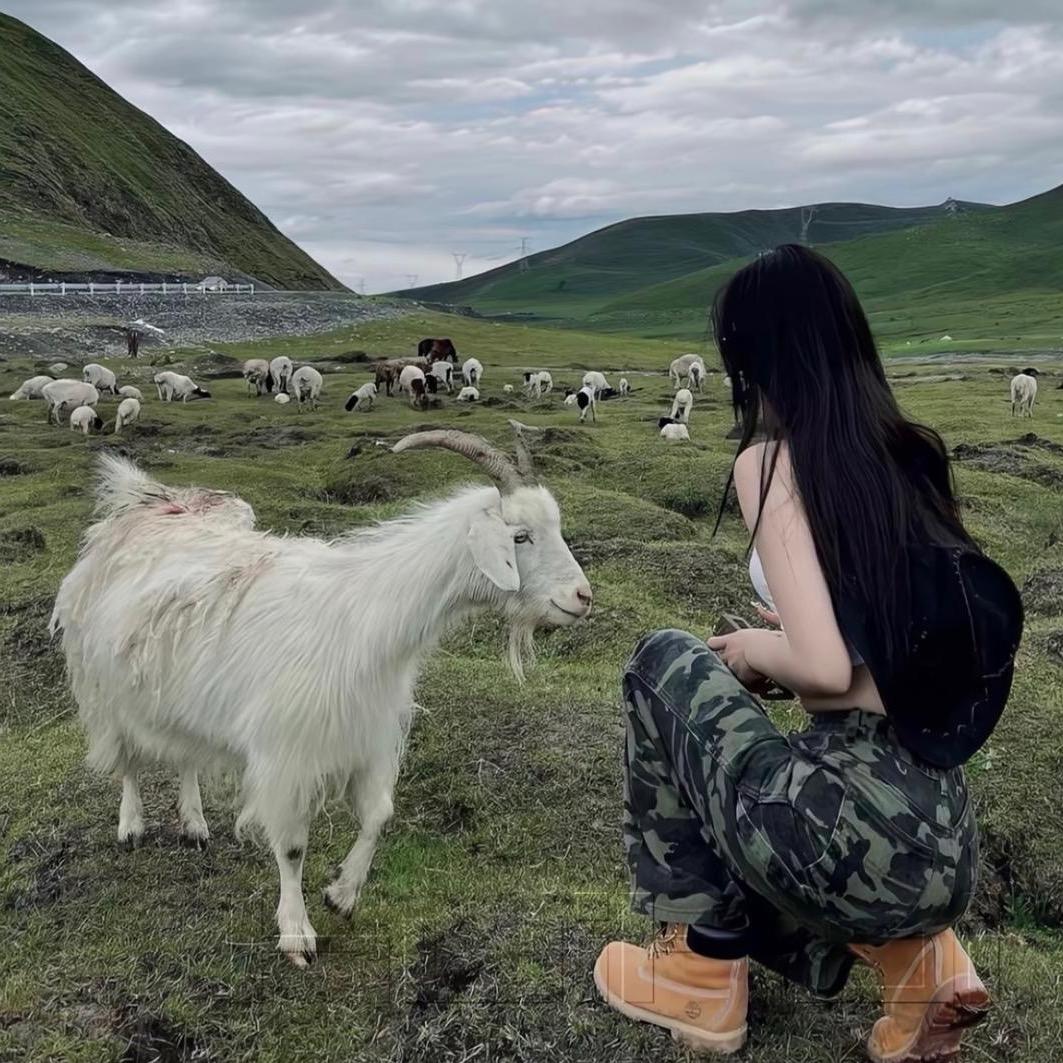 婷🌈
