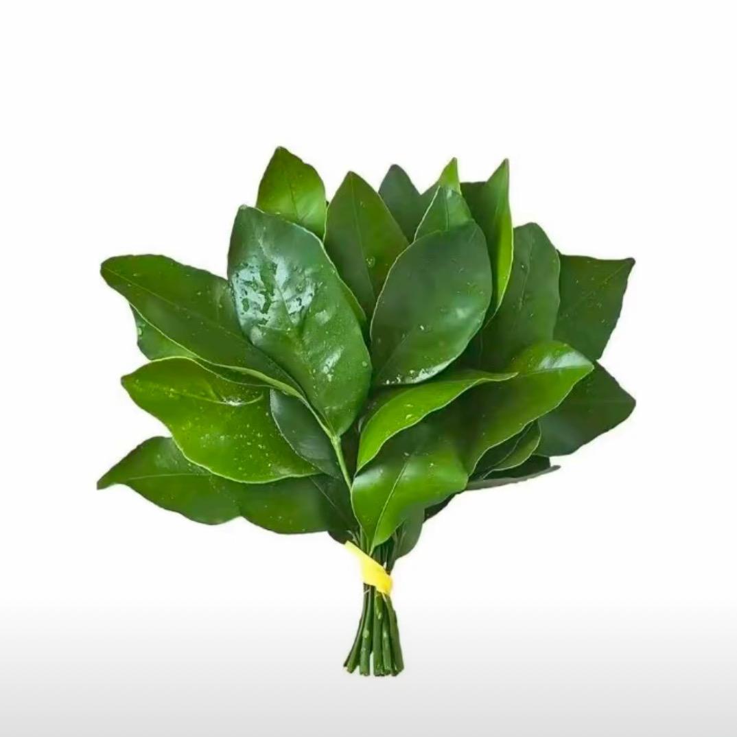 混过社会卖过萌