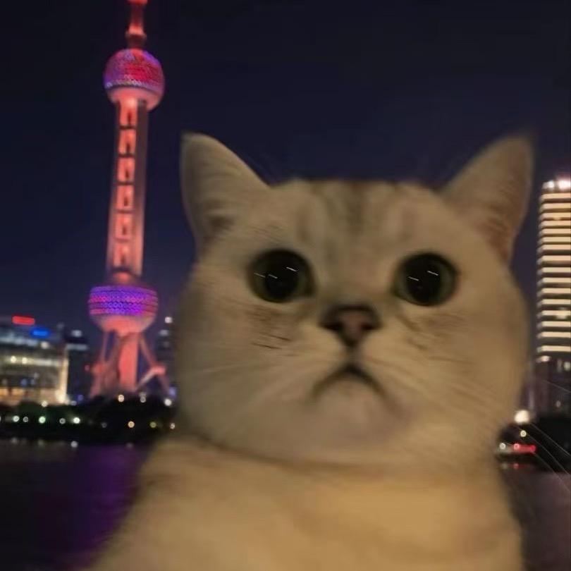 王开心😃