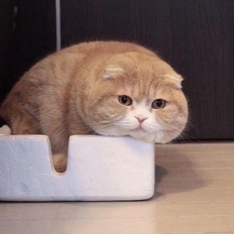冷了谁的心