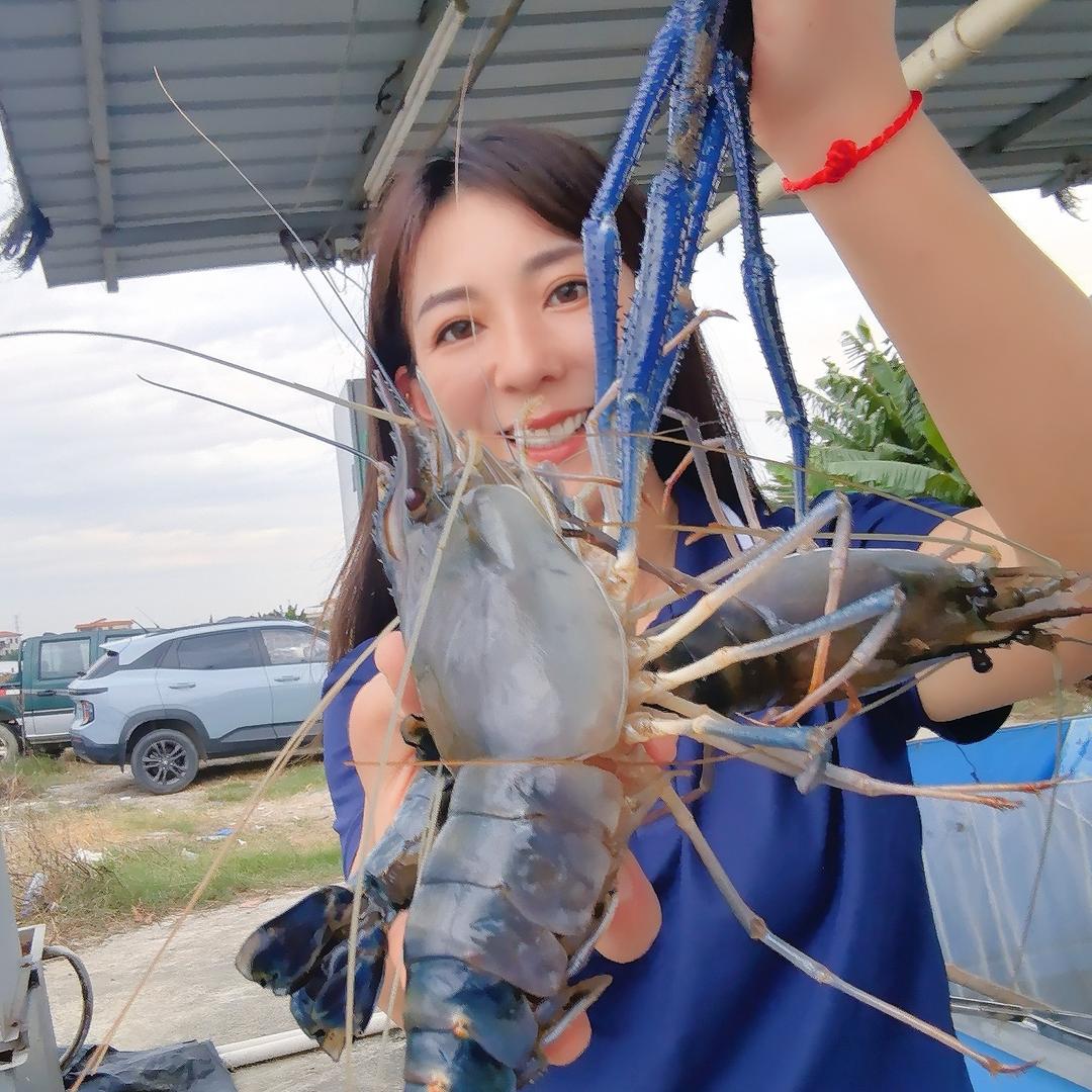 @氧罗虾