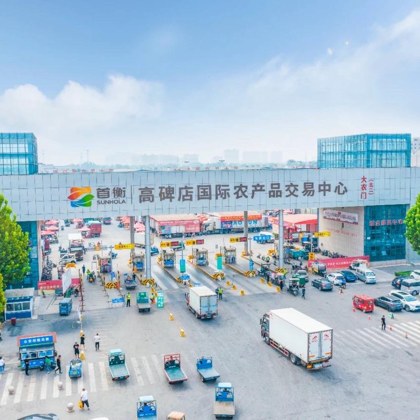 首衡大志【榴莲车厘子专供】发北方八省