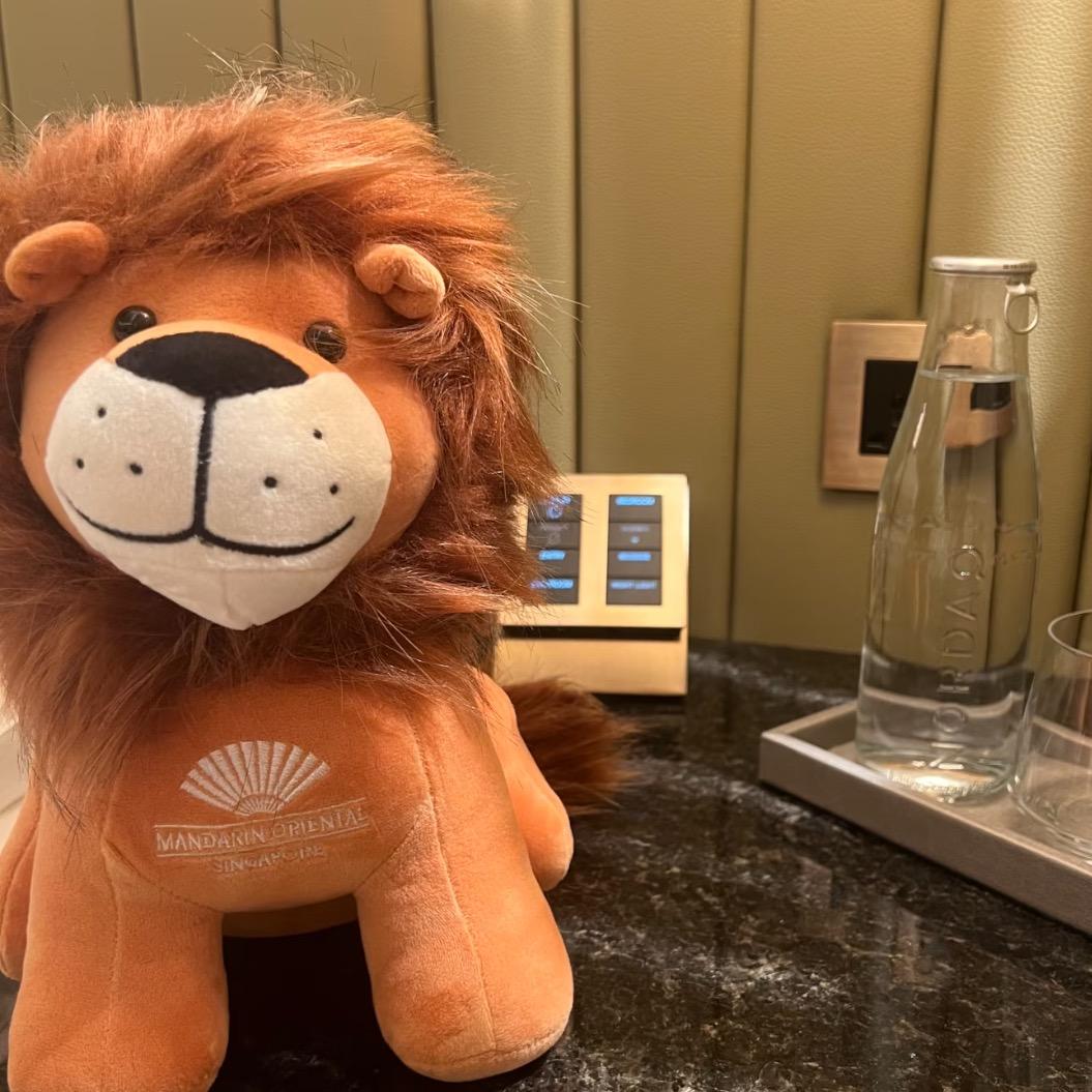 豚豚今天比昨天聪明💞