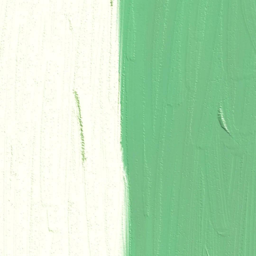 脑袋