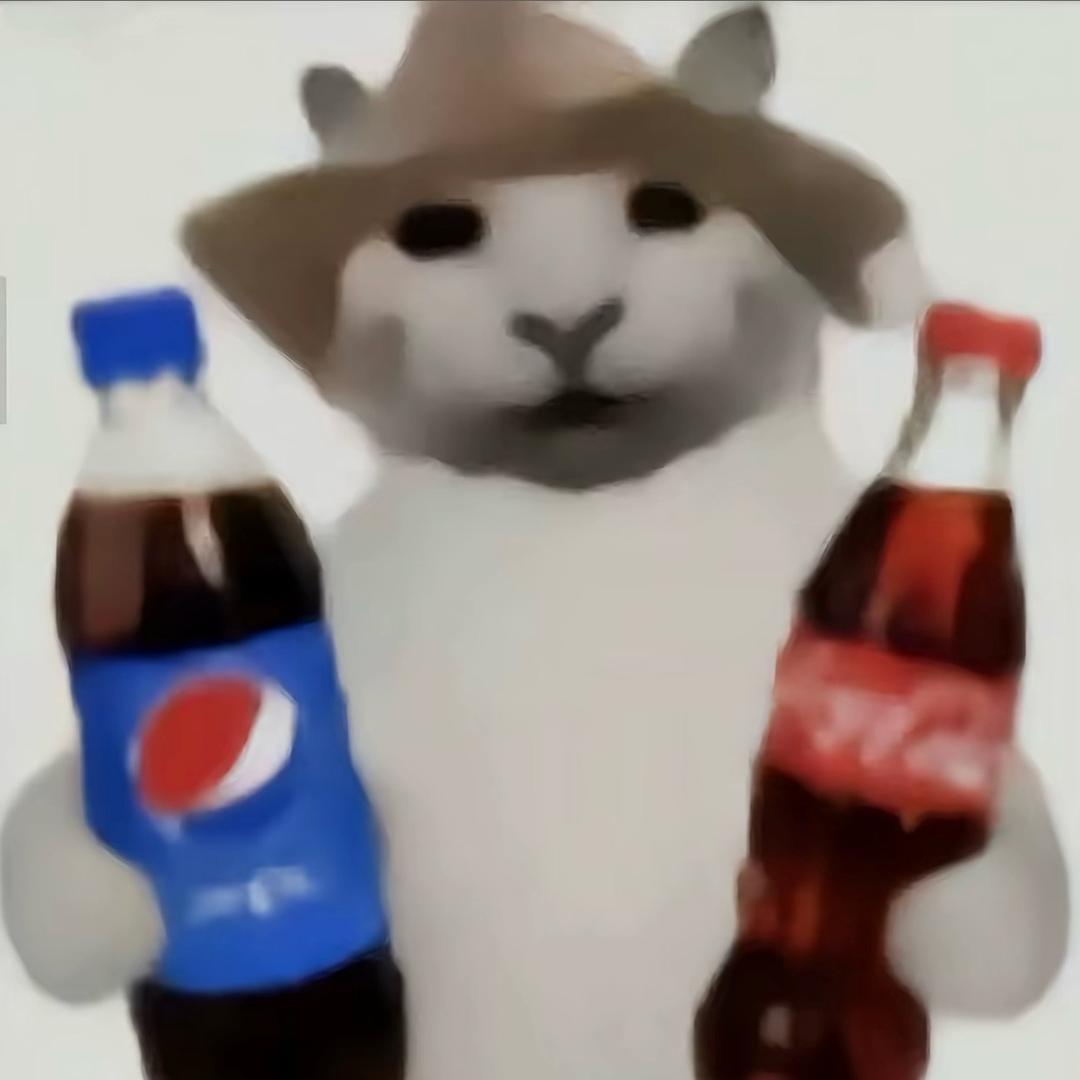 黑色的猫