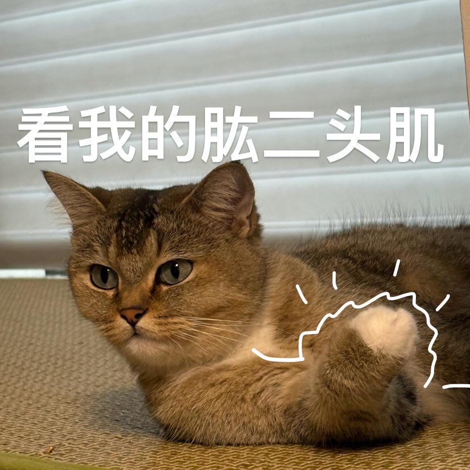 芝芝芝马虎