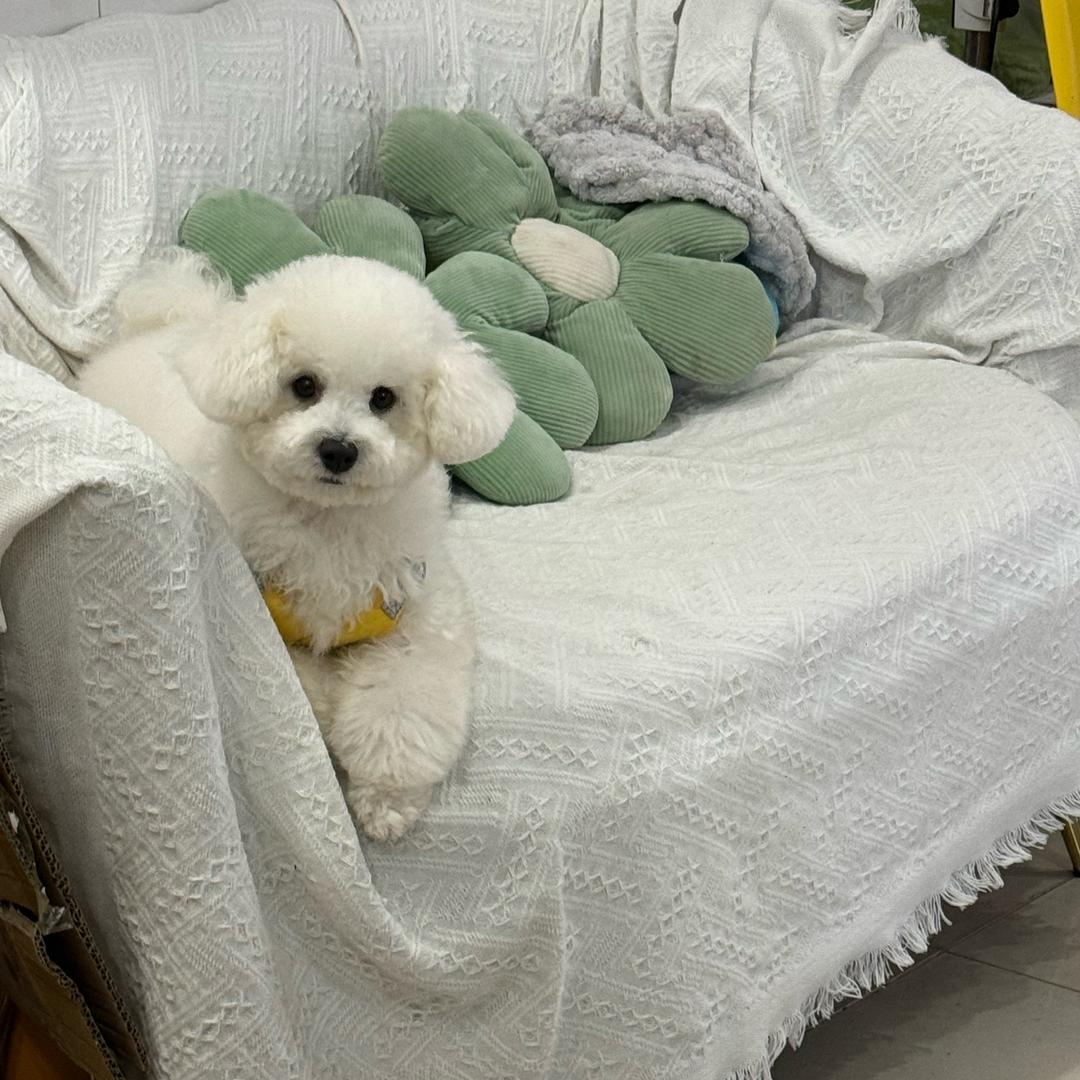 是婷宝吖🌷