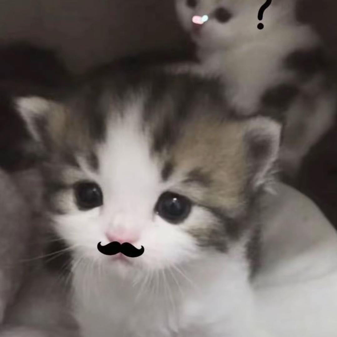小鱼转晴