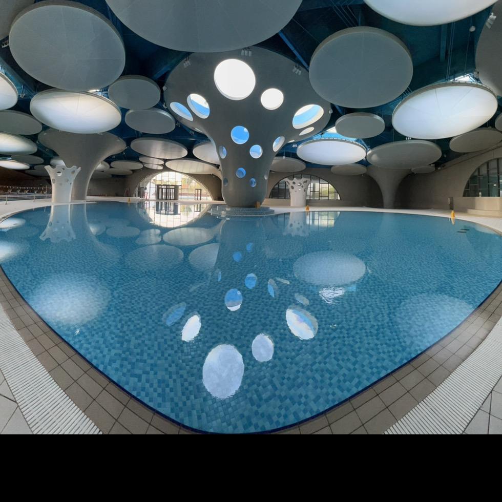 少年宫游泳击剑馆-李教练