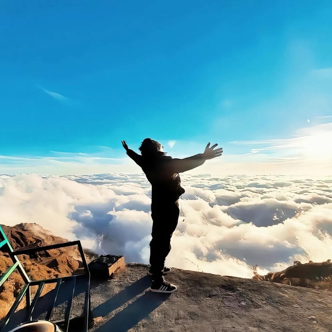 2昇烨 镰刀计划 路