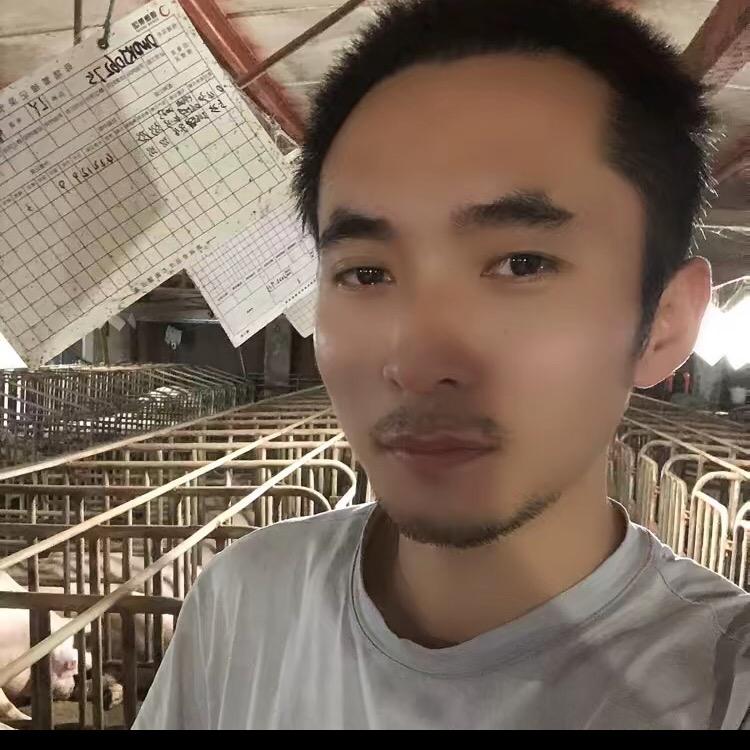 我是小小🐲   养猪人。