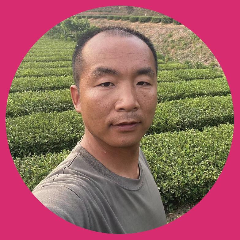 赵班长的茶