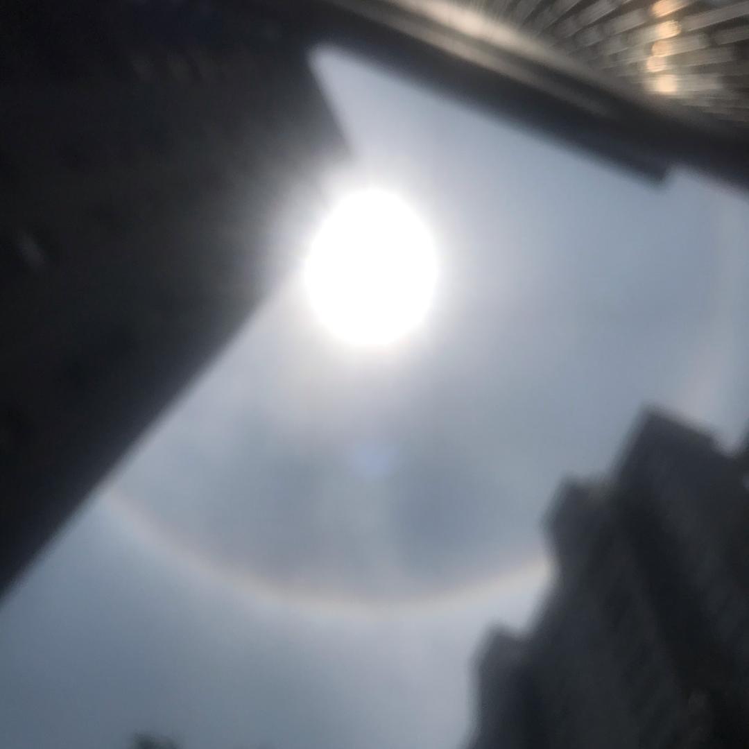 钟小波