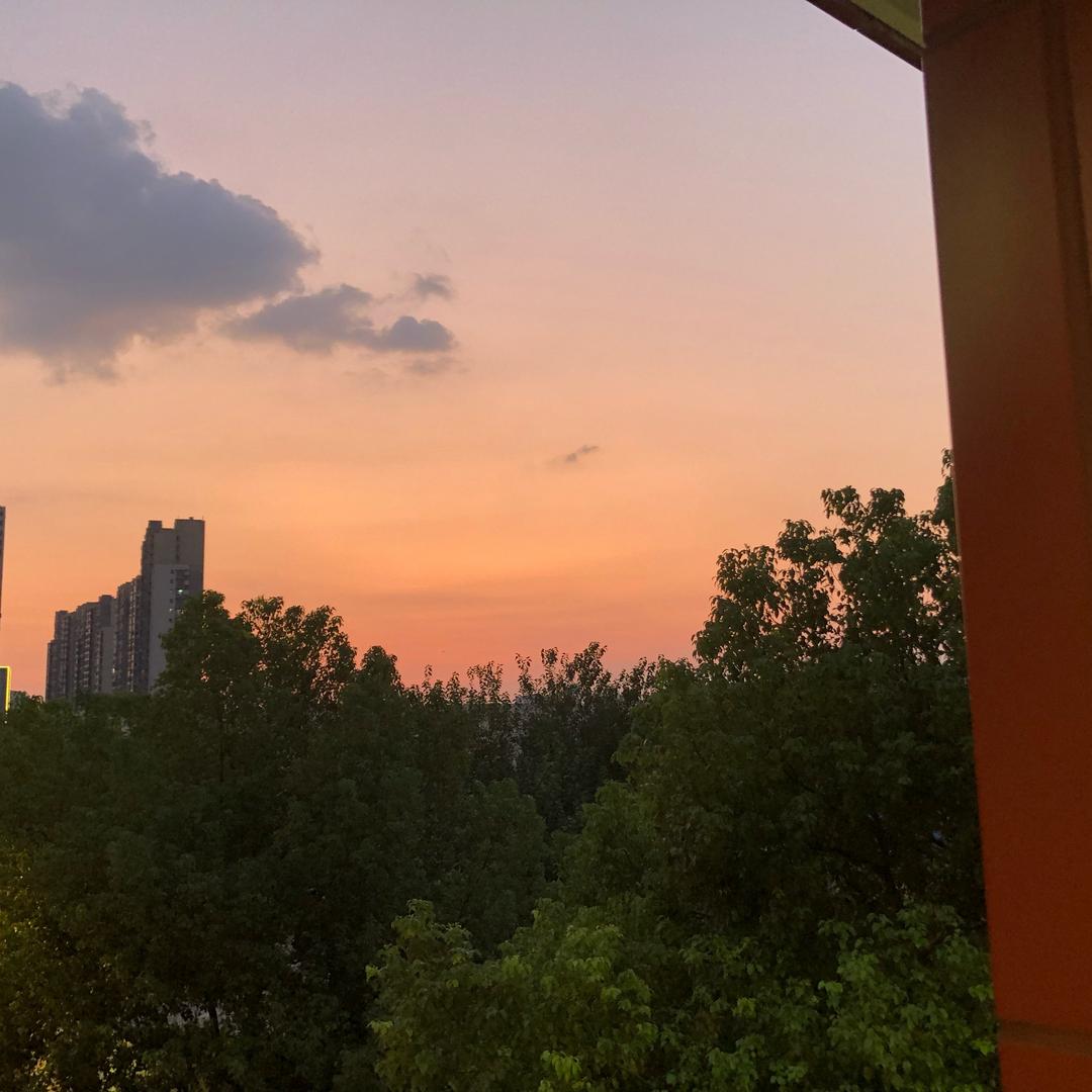 柬埔寨那夜👤
