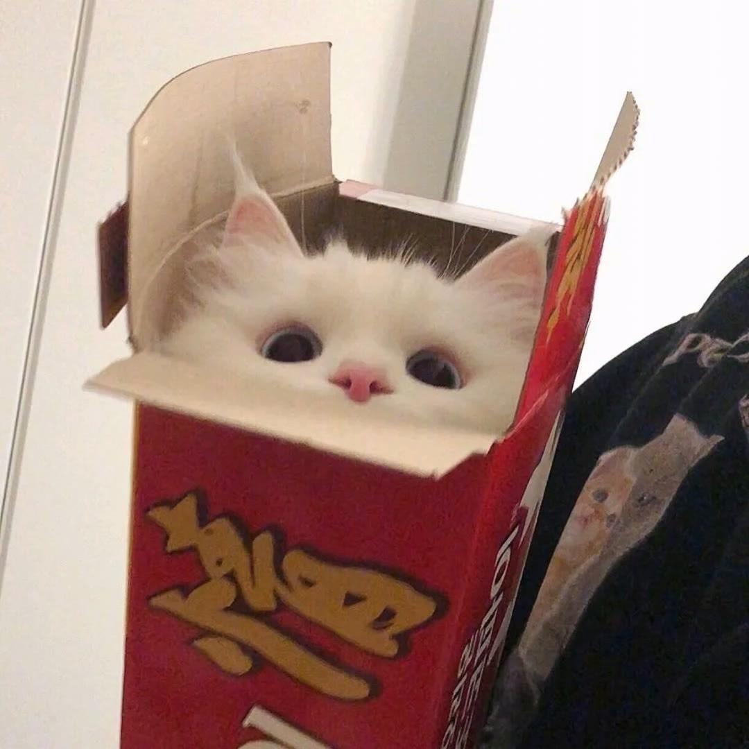快乐冰红茶